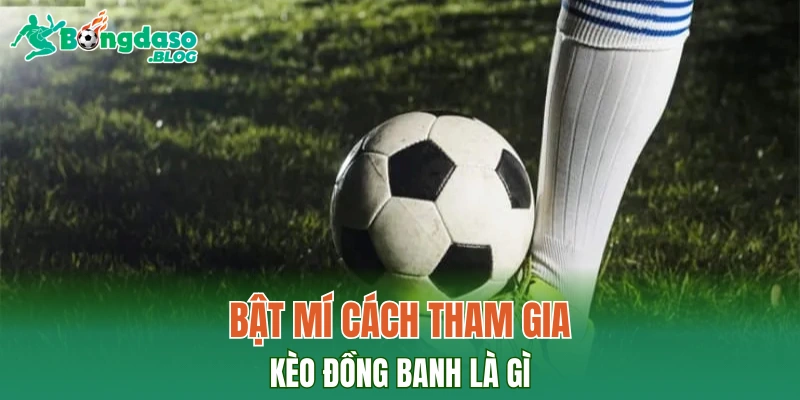 Bật mí cách tham gia kèo đồng banh là gì
