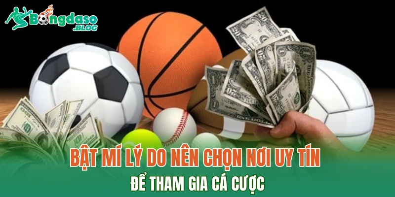 Bật mí lý do nên chọn nơi uy tín để tham gia cá cược