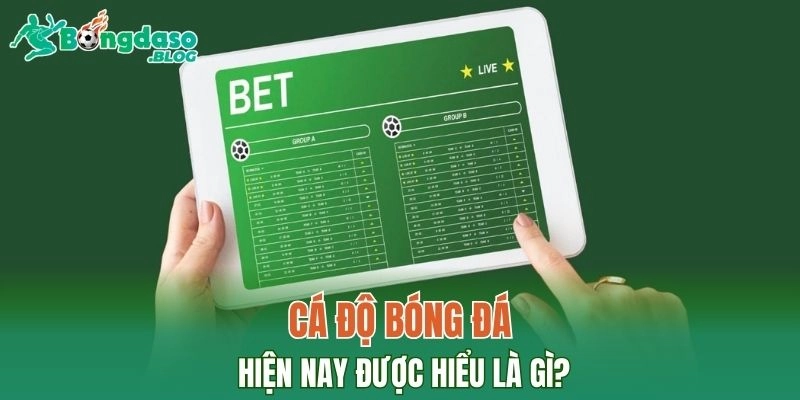 Cá độ bóng đá hiện nay được hiểu là gì?