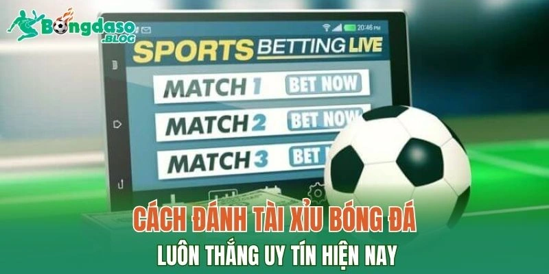 Cách đánh tài xỉu bóng đá luôn thắng uy tín hiện nay