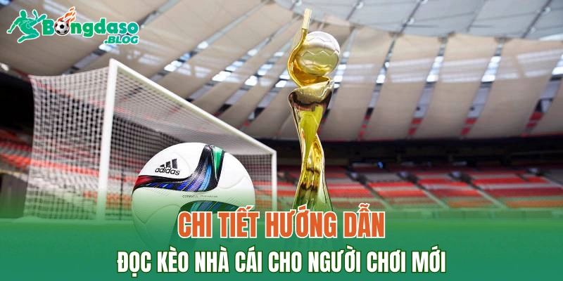 Chi tiết hướng dẫn đọc kèo nhà cái cho người chơi mới