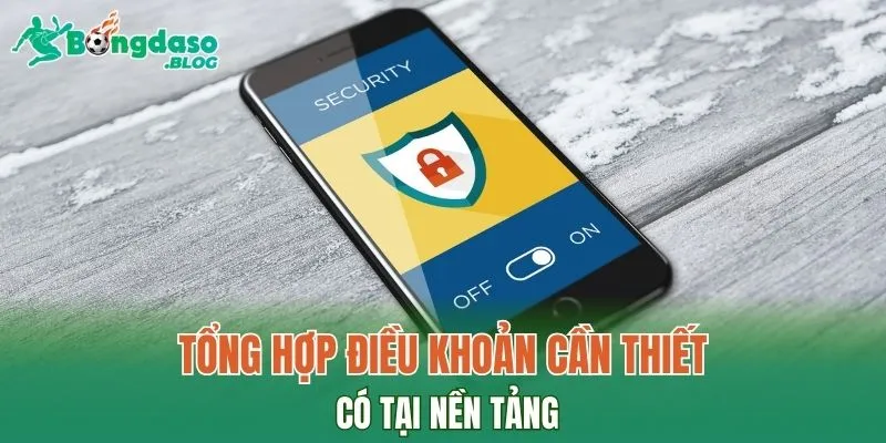 Tổng hợp điều khoản cần thiết có tại nền tảng