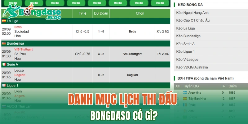 Lịch thi đấu bongdaso bao gồm những mục nào? 