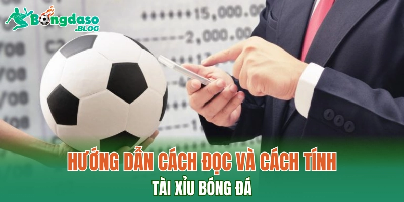 Hướng dẫn cách đọc và cách tính tài xỉu bóng đá