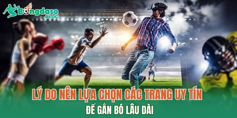 Lý do nên lựa chọn các trang uy tín để gắn bó lâu dài
