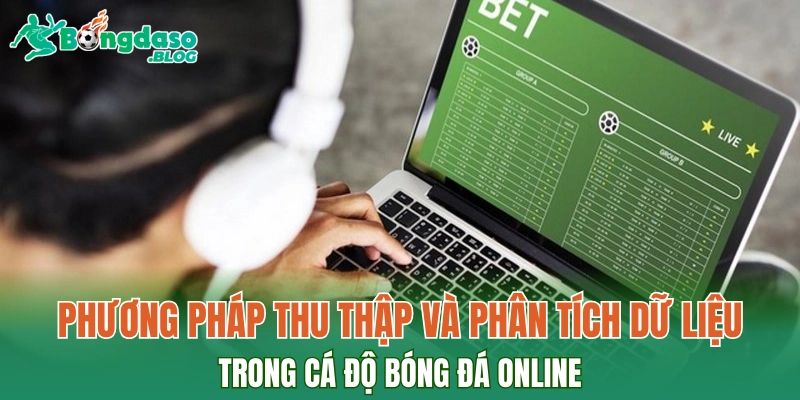 Phương pháp thu thập và phân tích dữ liệu trong cá độ bóng đá online