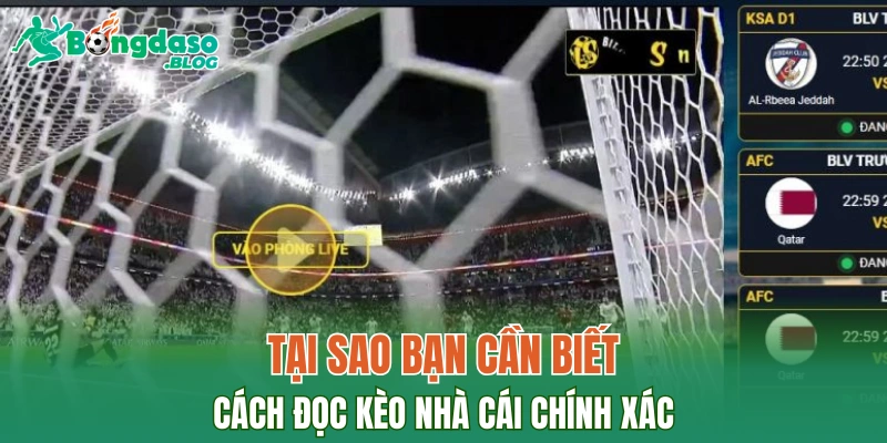 Tại sao bạn cần biết cách đọc kèo nhà cái chính xác