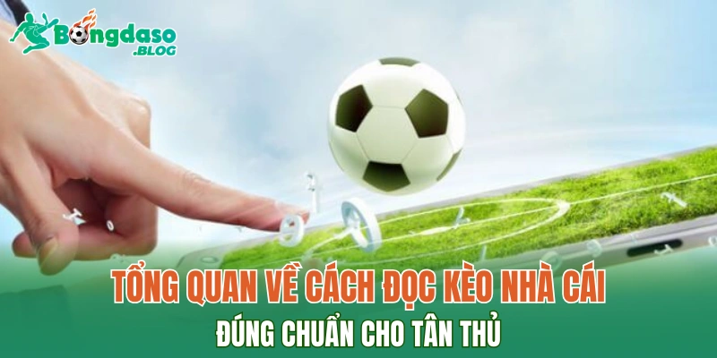 Tổng quan về cách đọc kèo nhà cái đúng chuẩn cho tân thủ