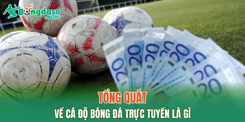 Tổng quát về cá độ bóng đá trực tuyến là gì