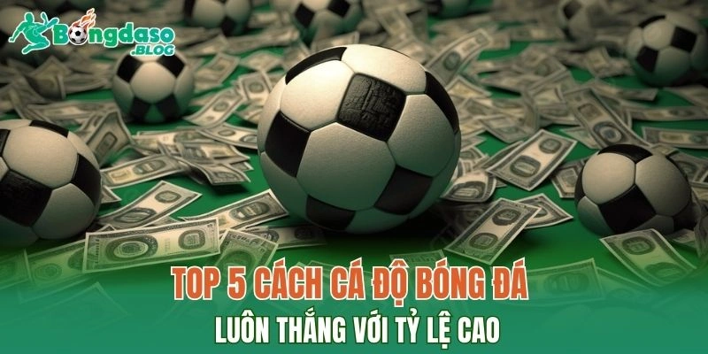 Top 5 cách cá độ bóng đá luôn thắng với tỷ lệ cao