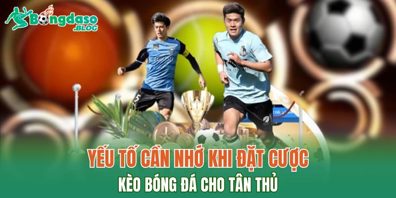 Yếu tố cần nhớ khi đặt cược kèo bóng đá cho tân thủ